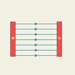 ವಿದ್ಯುತ್ ಪ್ರವಾಹದ ಕಾಂತೀಯ ಪರಿಣಾಮಗಳು – ವಲಯ ತಂತುವಿನ ಸುತ್ತಲಿನ ಕಾಂತೀಯ ರೇಖೆಗಳು

