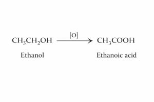 Class 10th science chapter 4 notes ಕಾರ್ಬನ್ ಮತ್ತು ಅದರ ಸಂಯುಕ್ತಗಳು ಪಾಠದ ಪ್ರಶ್ನೋತ್ತರಗಳ ನೋಟ್ಸ್